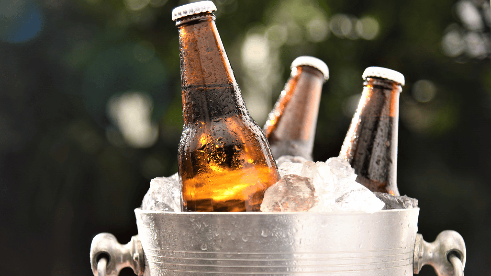 Bucket of beers on ice